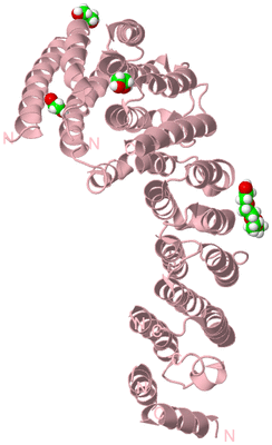 Image Biological Unit 3