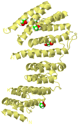 Image Biological Unit 4