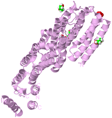 Image Biological Unit 5