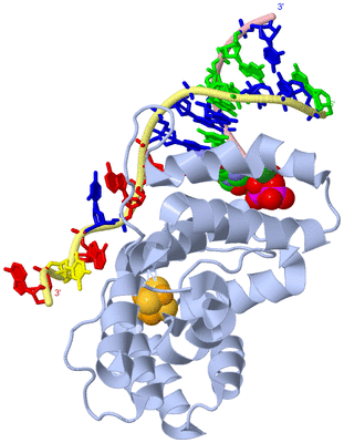 Image Biological Unit 1