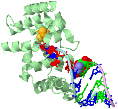 Image Biological Unit 2