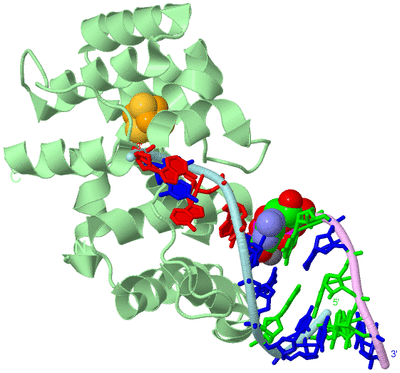 Image Biological Unit 2