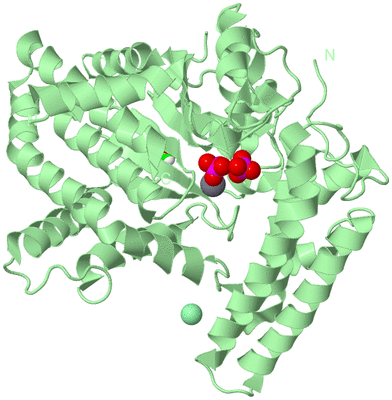 Image Biological Unit 1