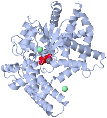 Image Biological Unit 2