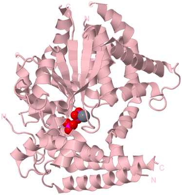 Image Biological Unit 3