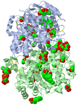 Image Asym./Biol. Unit