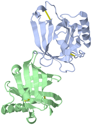 Image Asymmetric Unit