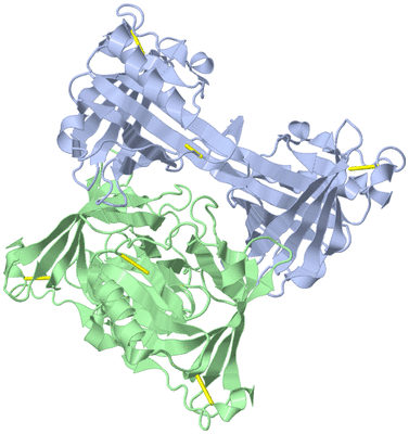 Image Biological Unit 1