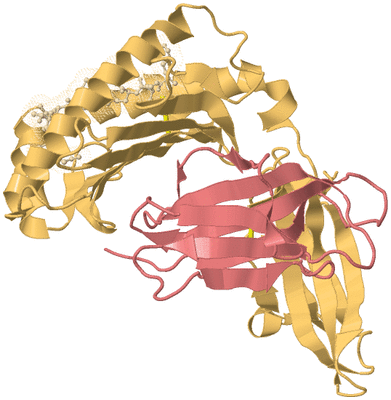 Image Biological Unit 3