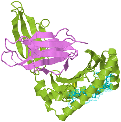 Image Biological Unit 5