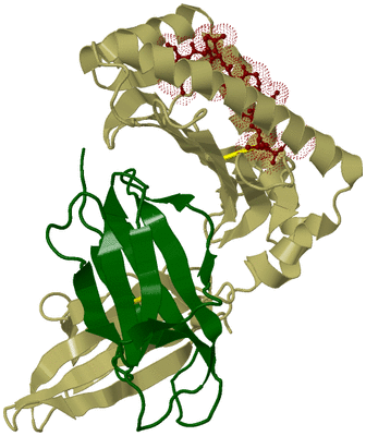 Image Biological Unit 7