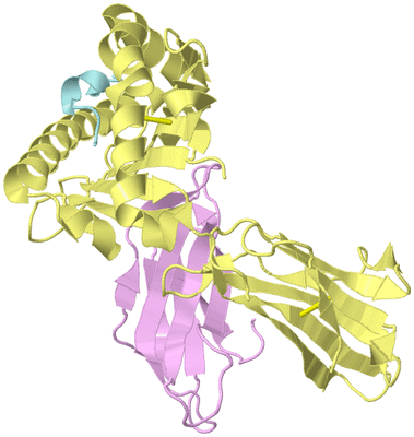 Image Biological Unit 2