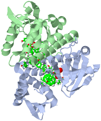 Image Asym./Biol. Unit - sites