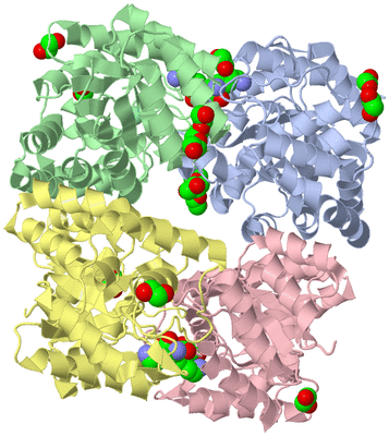 Image Asym./Biol. Unit