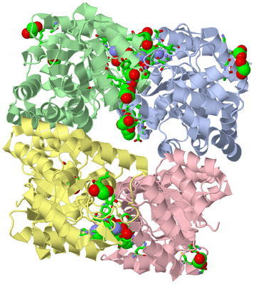 Image Asym./Biol. Unit - sites