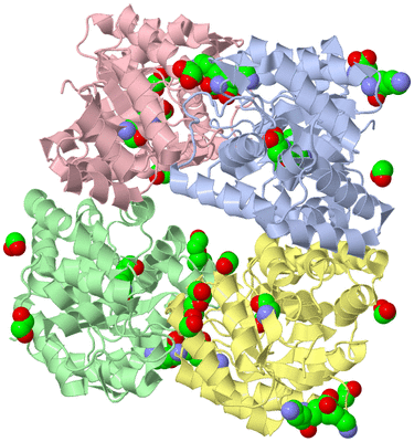 Image Asym./Biol. Unit