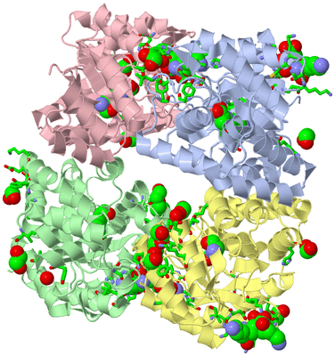 Image Asym./Biol. Unit - sites