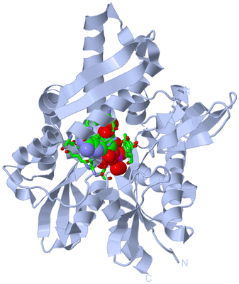 Image Biol. Unit 1 - sites