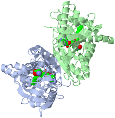 Image Asym./Biol. Unit