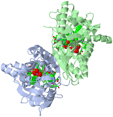 Image Asym./Biol. Unit - sites