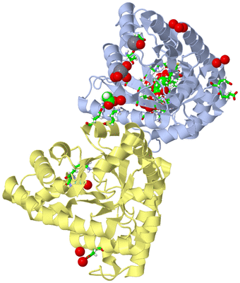 Image Biol. Unit 1 - sites