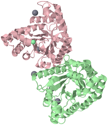 Image Biological Unit 2