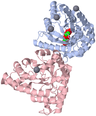 Image Biological Unit 1