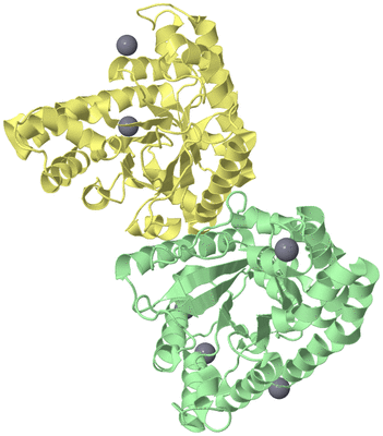 Image Biological Unit 2