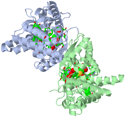 Image Asym./Biol. Unit - sites