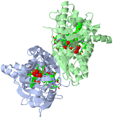 Image Asym./Biol. Unit - sites