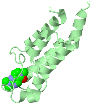 Image Biological Unit 2