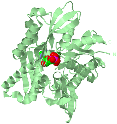 Image Biological Unit 2