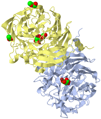 Image Biological Unit 1