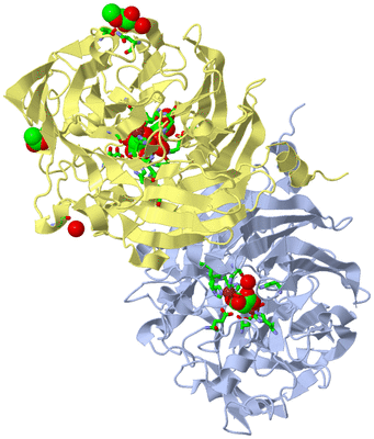 Image Biol. Unit 1 - sites