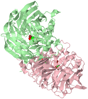 Image Biological Unit 2