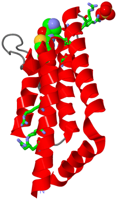 Image Asym./Biol. Unit - sites