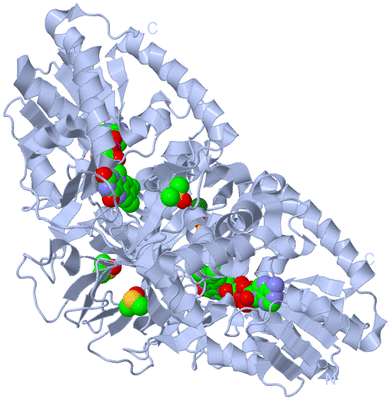 Image Biological Unit 1