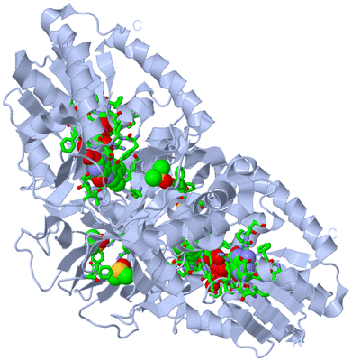 Image Biol. Unit 1 - sites