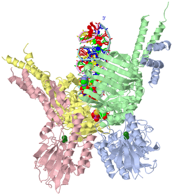 Image Asym./Biol. Unit