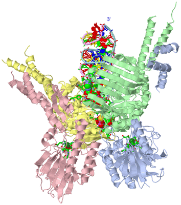 Image Asym./Biol. Unit - sites