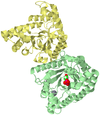 Image Biological Unit 2