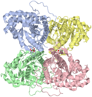 Image Asym./Biol. Unit