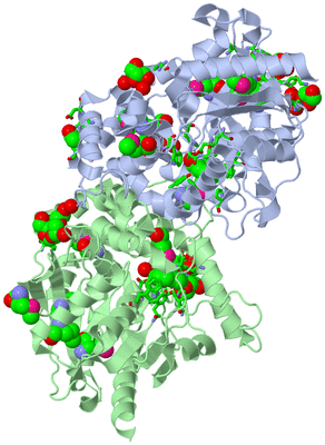 Image Biol. Unit 1 - sites