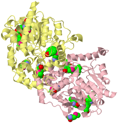 Image Biological Unit 2