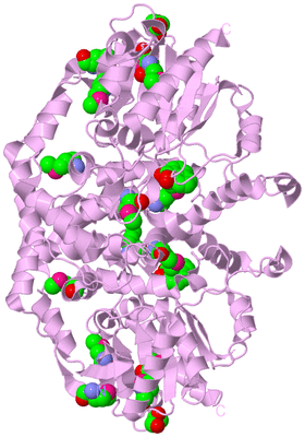 Image Biological Unit 3