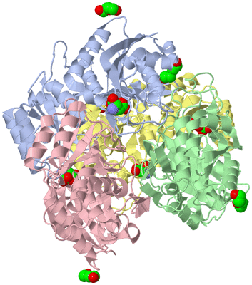 Image Asym./Biol. Unit