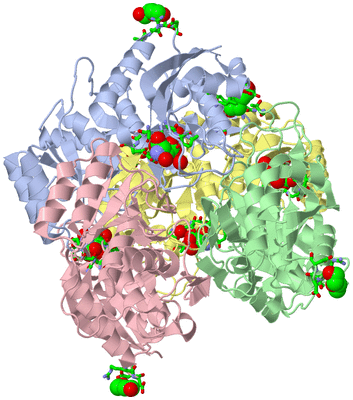 Image Asym./Biol. Unit - sites