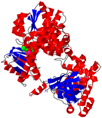 Image Asym./Biol. Unit