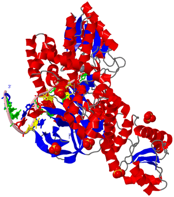 Image Asym./Biol. Unit