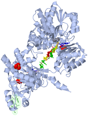 Image Asym./Biol. Unit